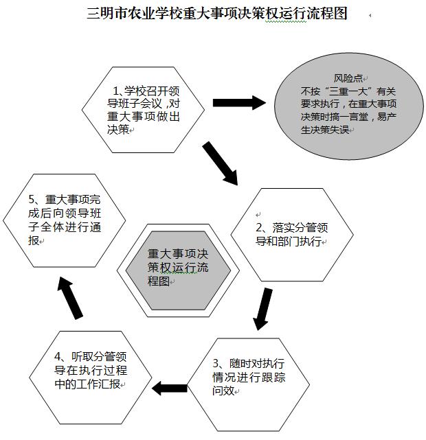 华球（中国）重大事项决策权运行流程图.JPG